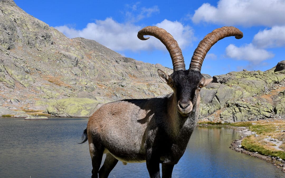 La Laguna Grande depuis la Plataforma de Gredos